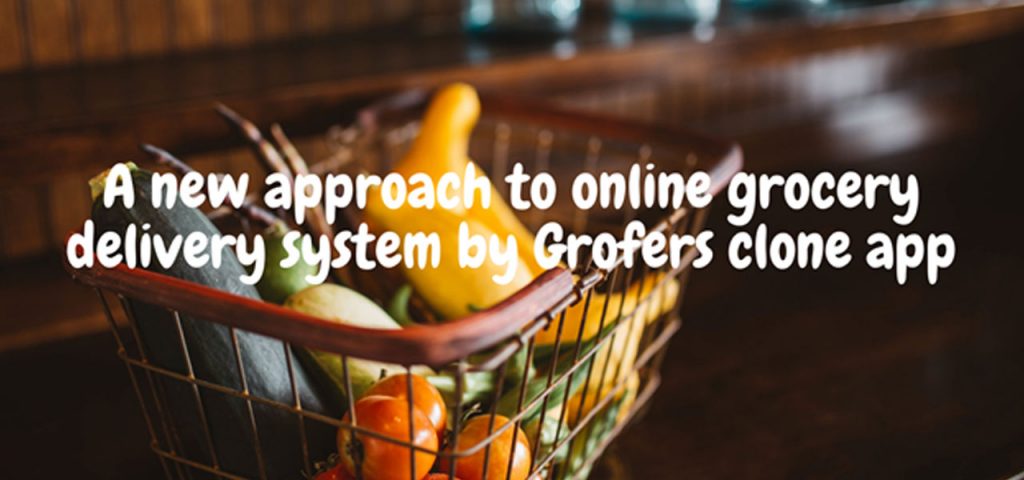 How Grofers like Clone App Helps Business Models? 1 How Grofers like clone app helps business models?